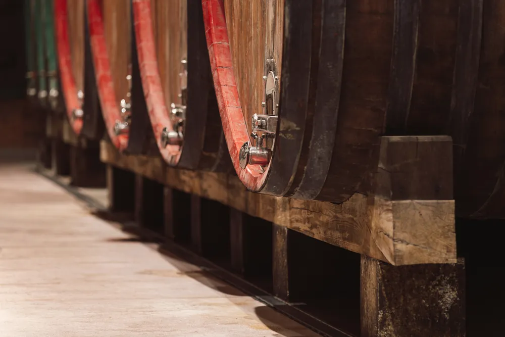 Botti di legno per l’affinamento del vino in cantina